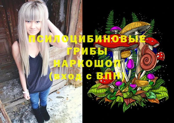 гидропоника Алзамай
