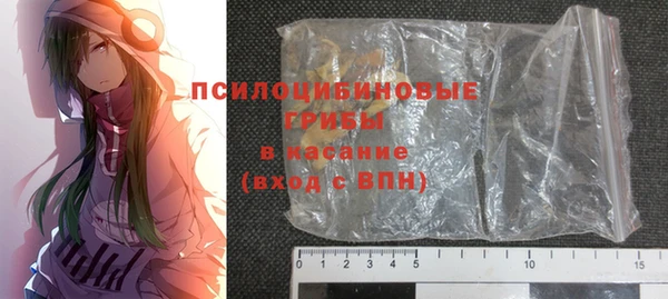 гидропоника Алзамай