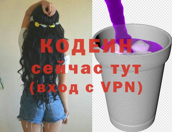 индика Покров