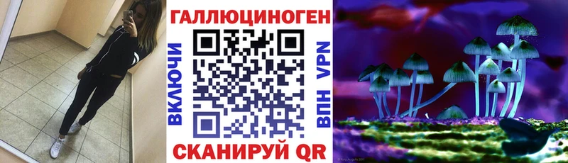 Галлюциногенные грибы Cubensis сколько стоит Полярные Зори