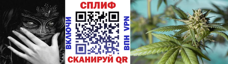 ОМГ ОМГ вход  Полярные Зори  Конопля AK-47  хочу наркоту 